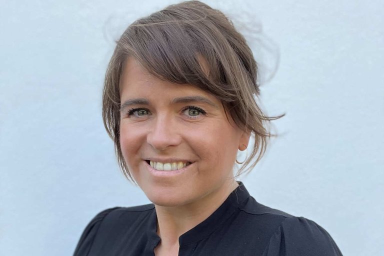 Portrett av dame